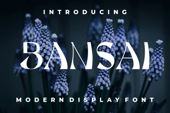 Bansai Font Review