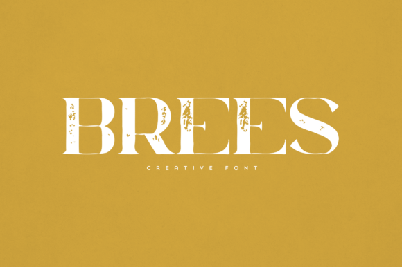 Brees Font for Editorial Design
