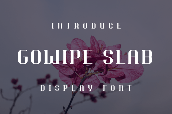 Gowipe Slab: A Unique Display Font