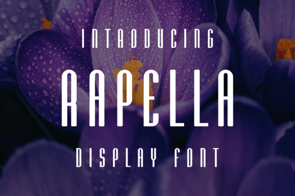 Rapella: A Stylish Display Font